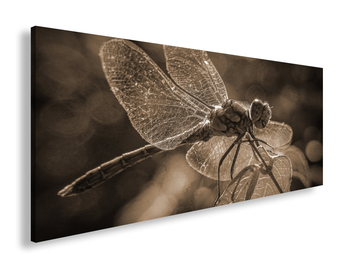 Hauptbild Sepia Panorama