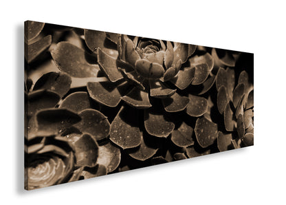 Hauptbild Sepia Panorama