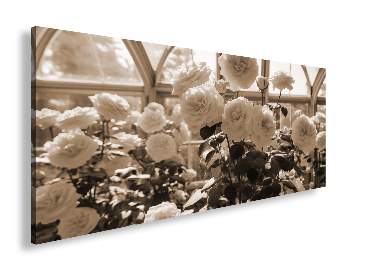 Hauptbild Sepia Panorama