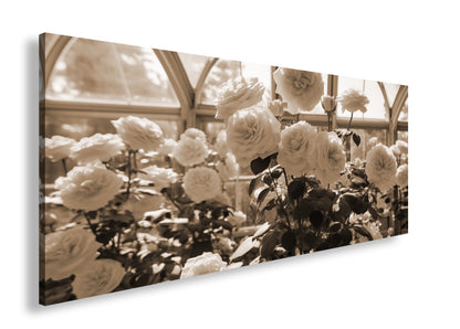 Hauptbild Sepia Panorama