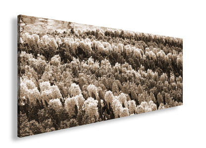 Hauptbild Sepia Panorama