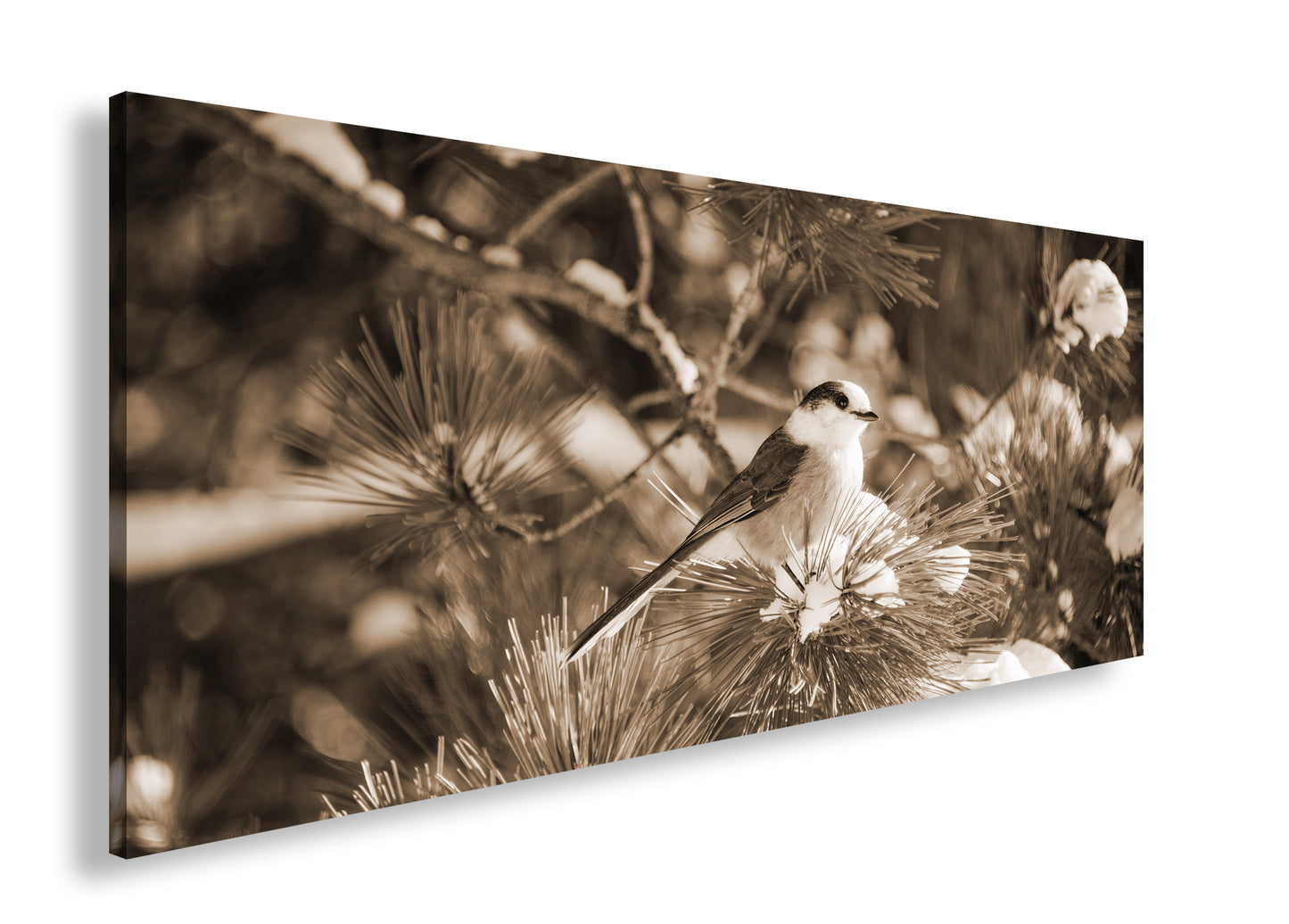 Hauptbild Sepia Panorama