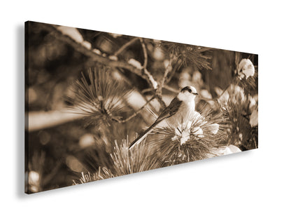 Hauptbild Sepia Panorama