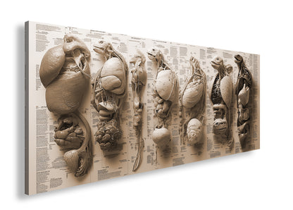 Hauptbild Sepia Panorama