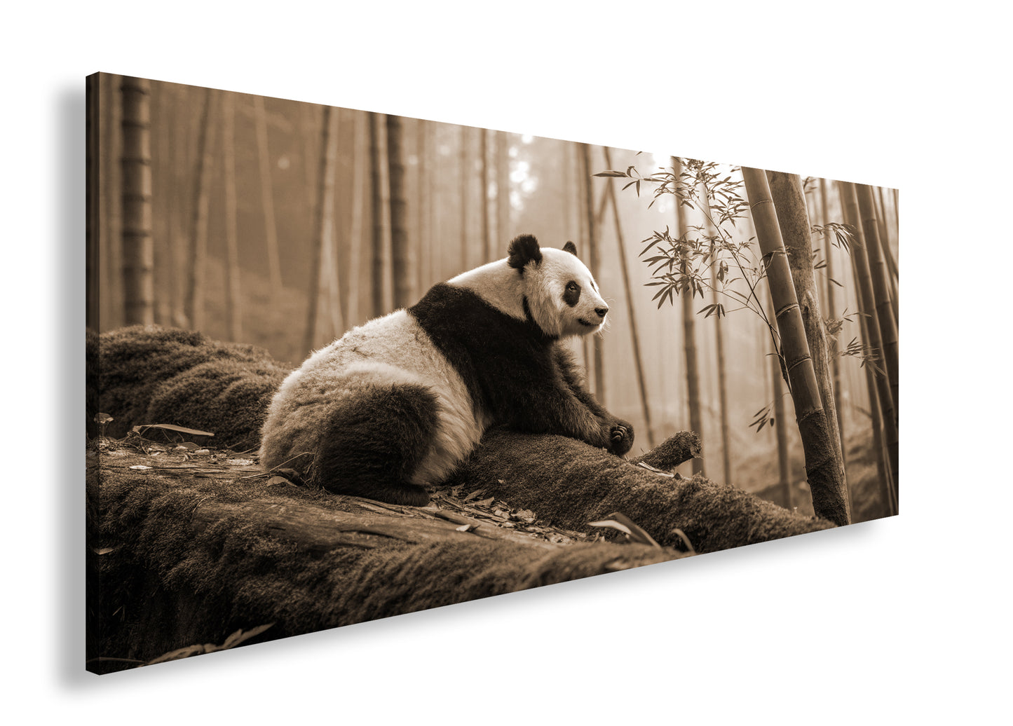 Hauptbild Sepia Panorama