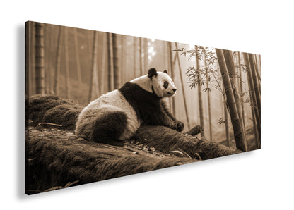 Hauptbild Sepia Panorama