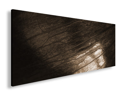 Hauptbild Sepia Panorama