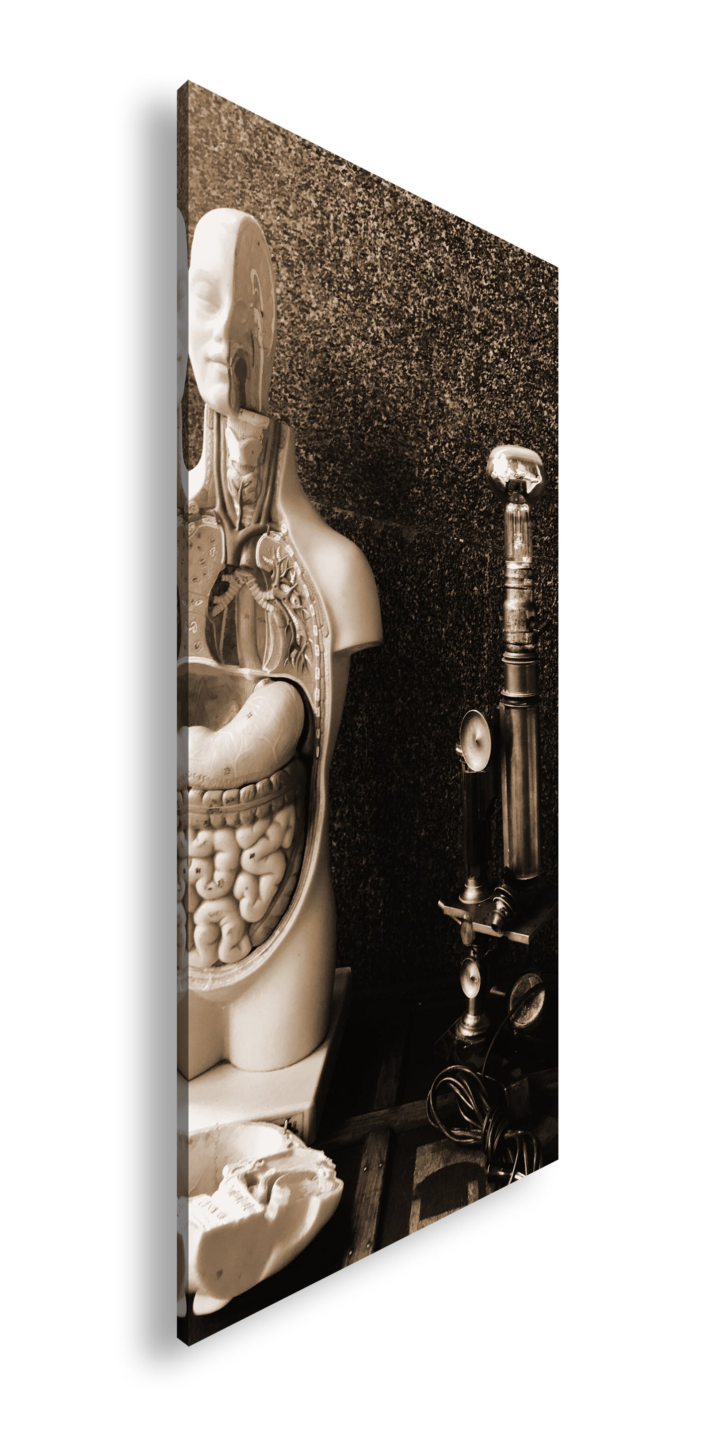 Hauptbild Sepia Panorama