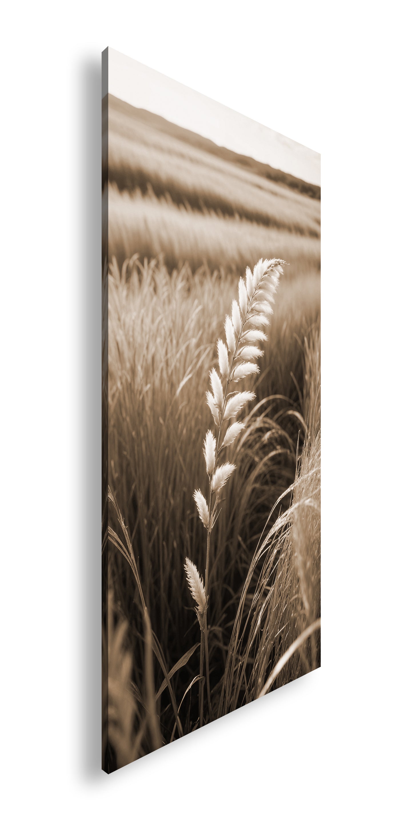 Hauptbild Sepia Panorama