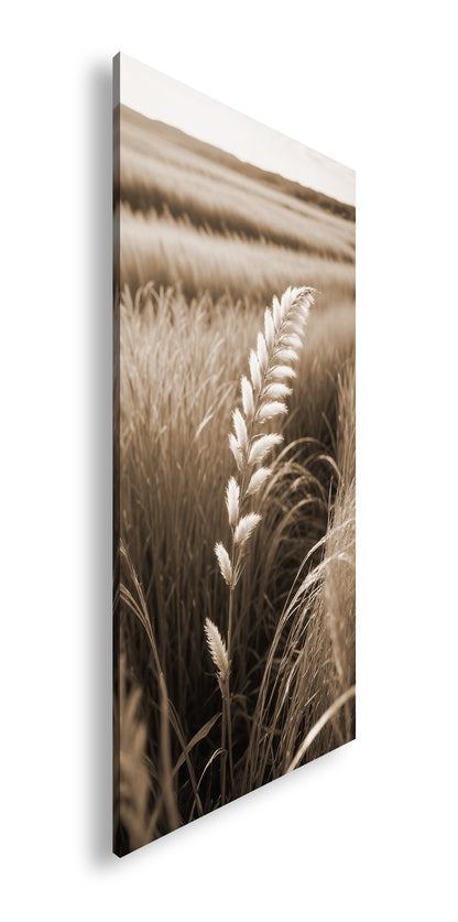 Hauptbild Sepia Panorama