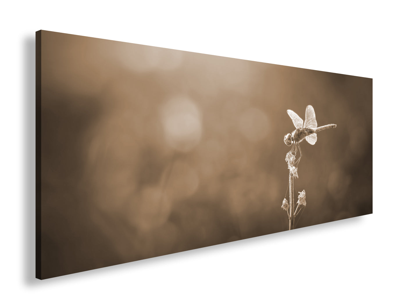 Hauptbild Sepia Panorama