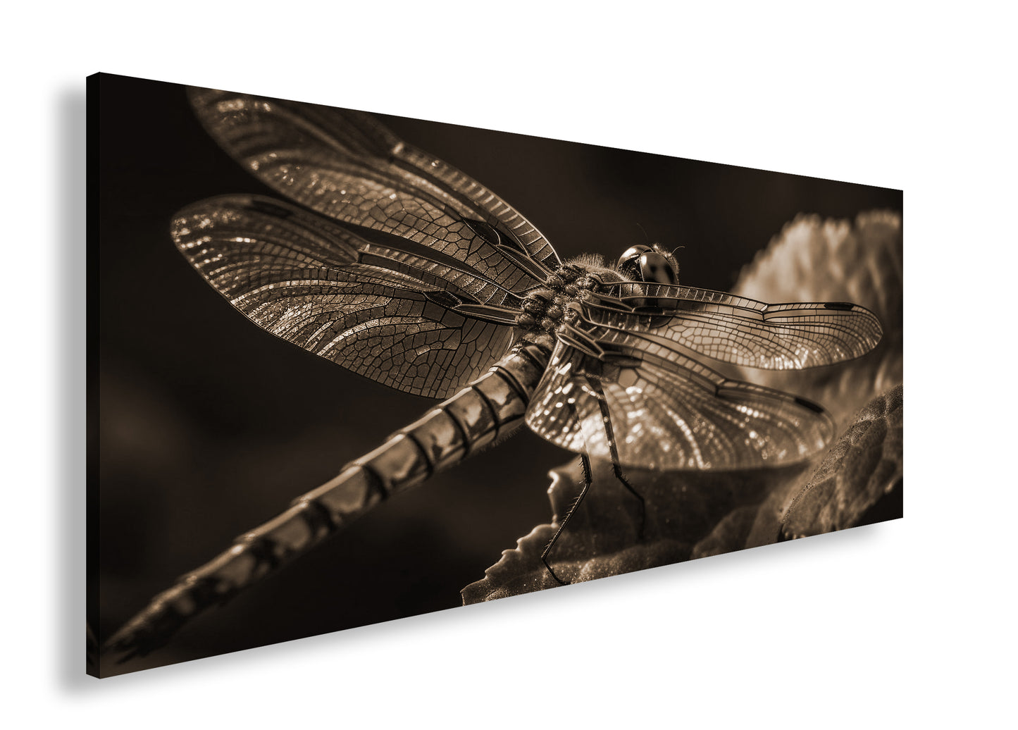 Hauptbild Sepia Panorama