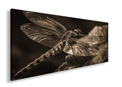 Hauptbild Sepia Panorama