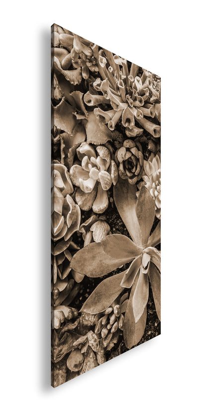 Hauptbild Sepia Panorama