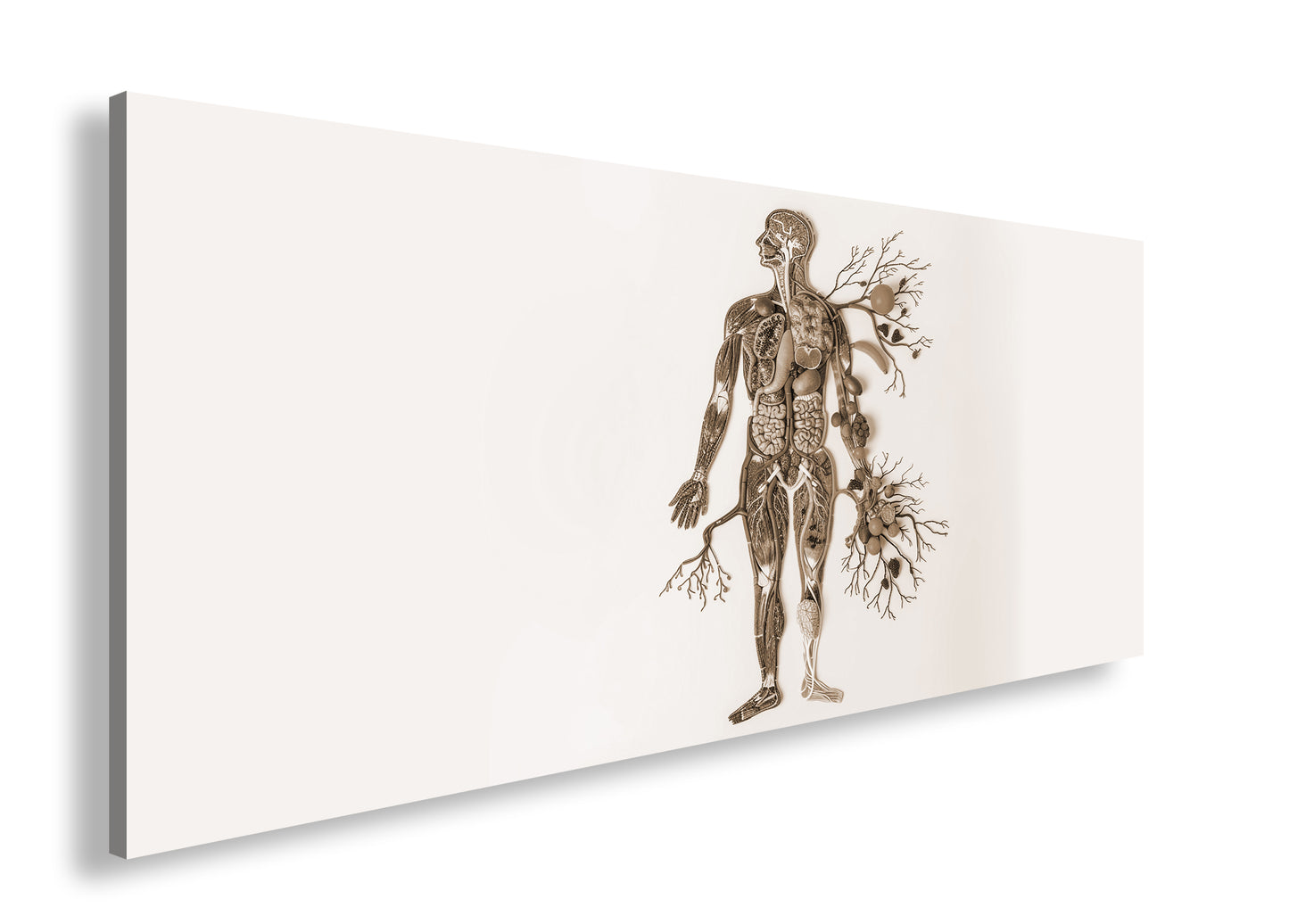 Hauptbild Sepia Panorama