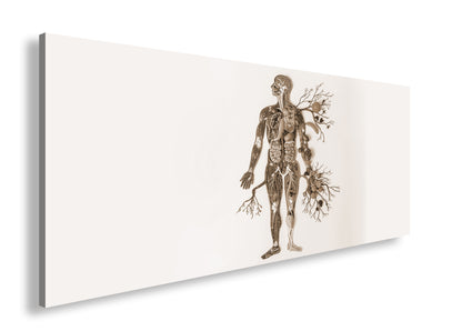 Hauptbild Sepia Panorama