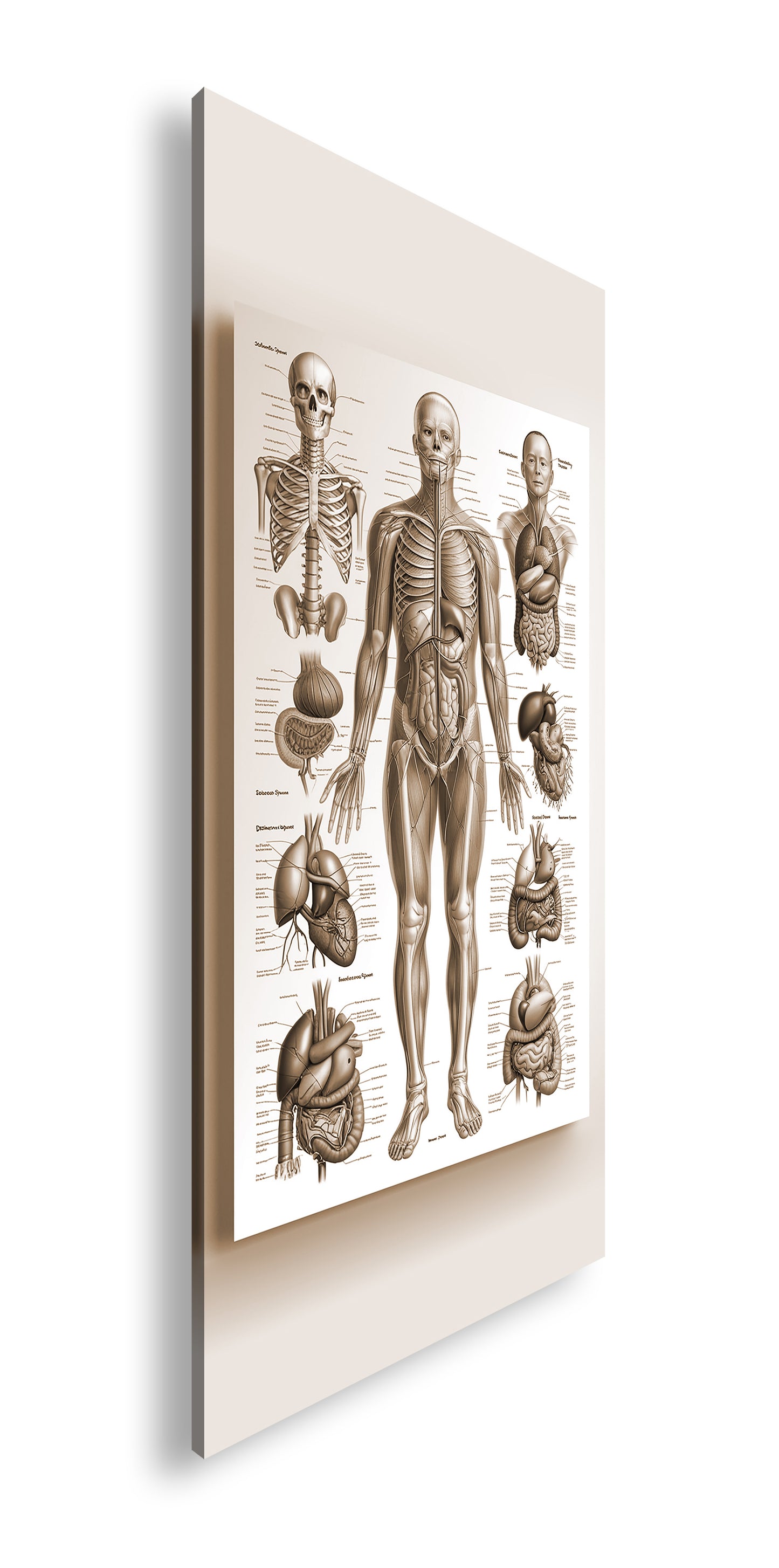 Hauptbild Sepia Panorama