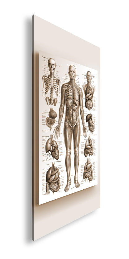 Hauptbild Sepia Panorama