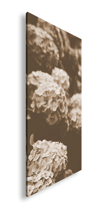 Hauptbild Sepia Panorama