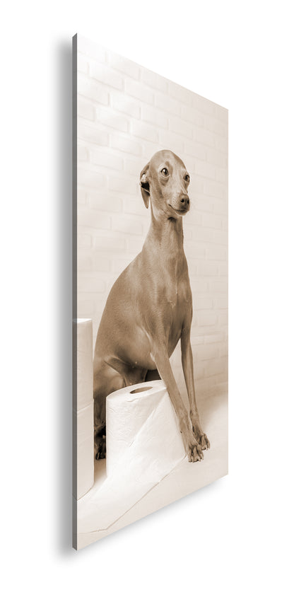 Hauptbild Sepia Panorama