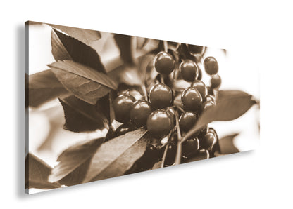 Hauptbild Sepia Panorama