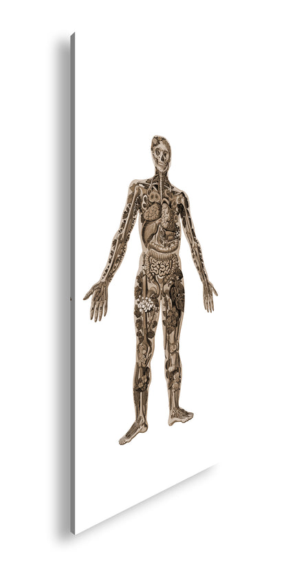 Hauptbild Sepia Panorama