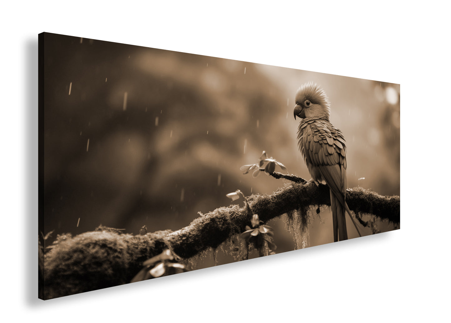 Hauptbild Sepia Panorama
