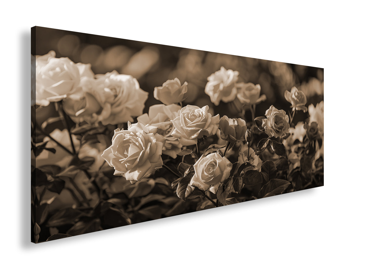 Hauptbild Sepia Panorama