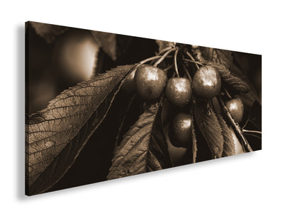 Hauptbild Sepia Panorama