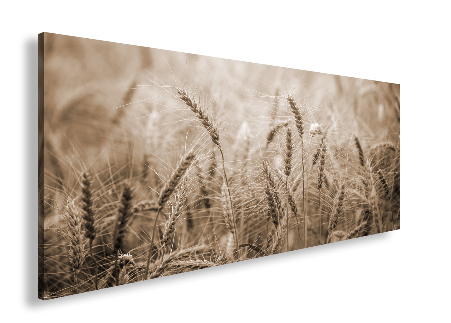 Hauptbild Sepia Panorama