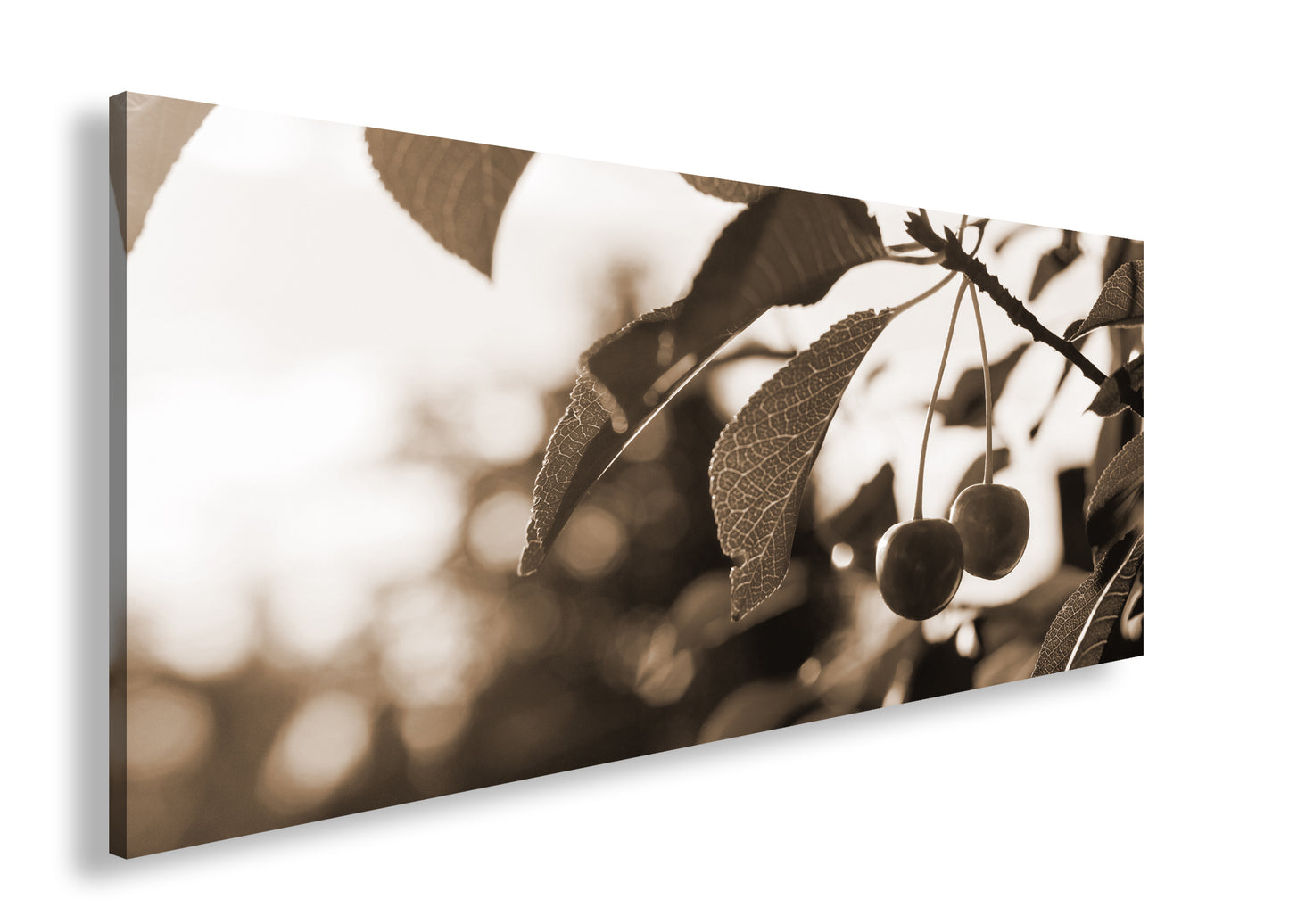 Hauptbild Sepia Panorama