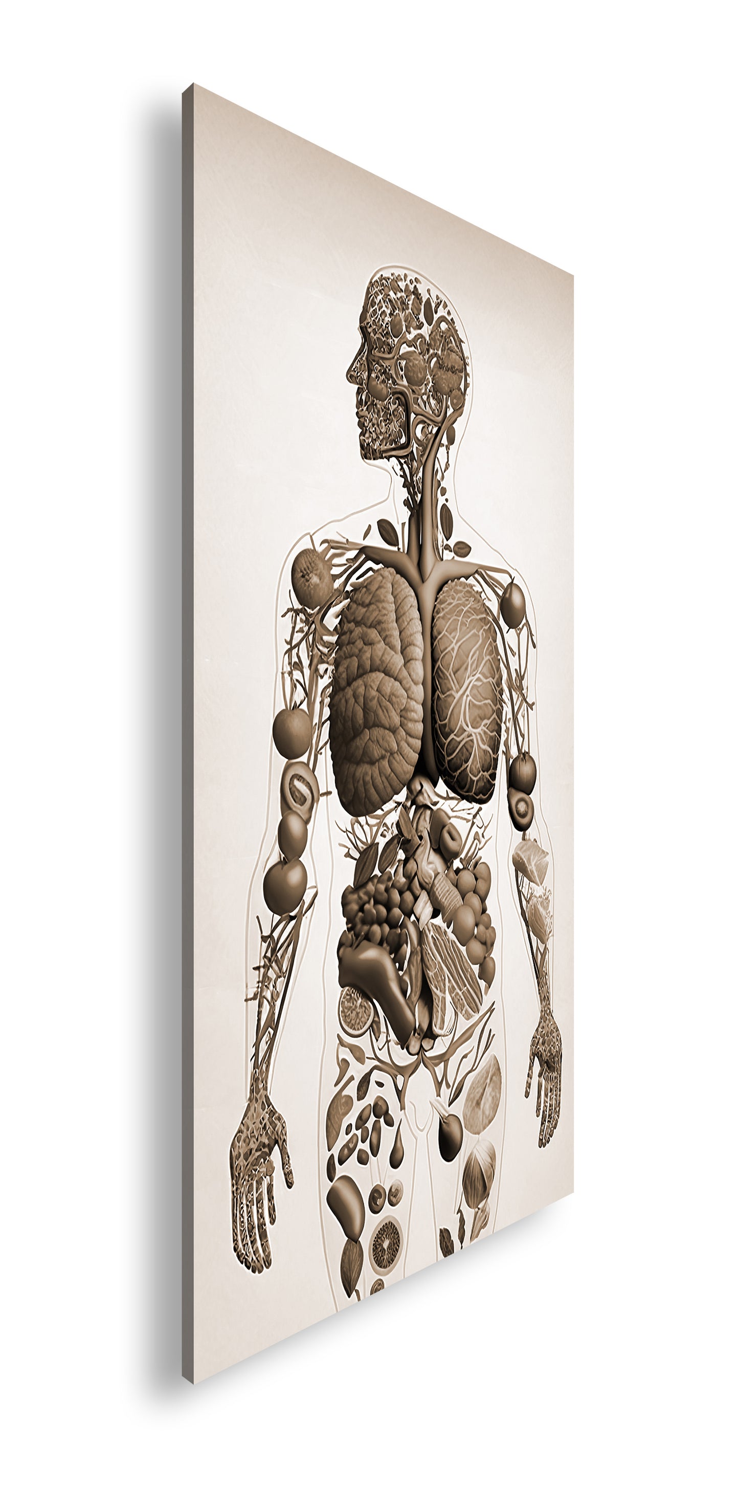 Hauptbild Sepia Panorama