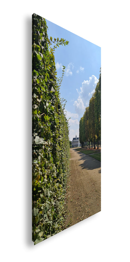 Hauptbild Farbig Panorama