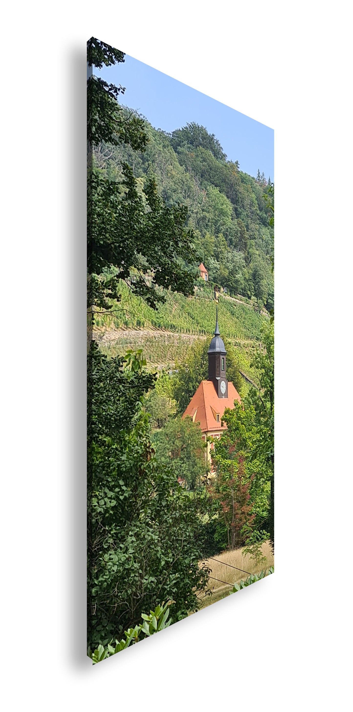 Hauptbild Farbig Panorama