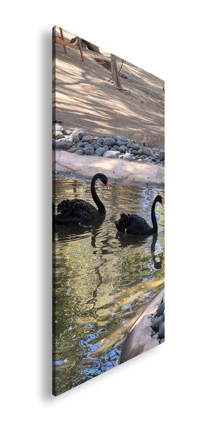 Hauptbild Farbig Panorama