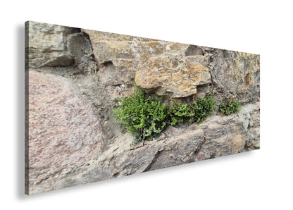 Hauptbild Farbig Panorama