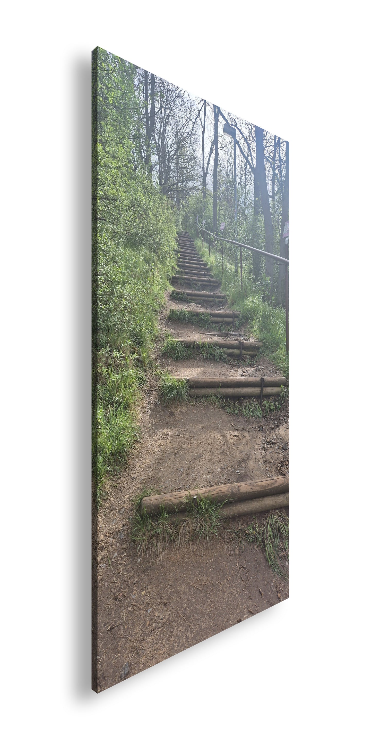 Hauptbild Farbig Panorama