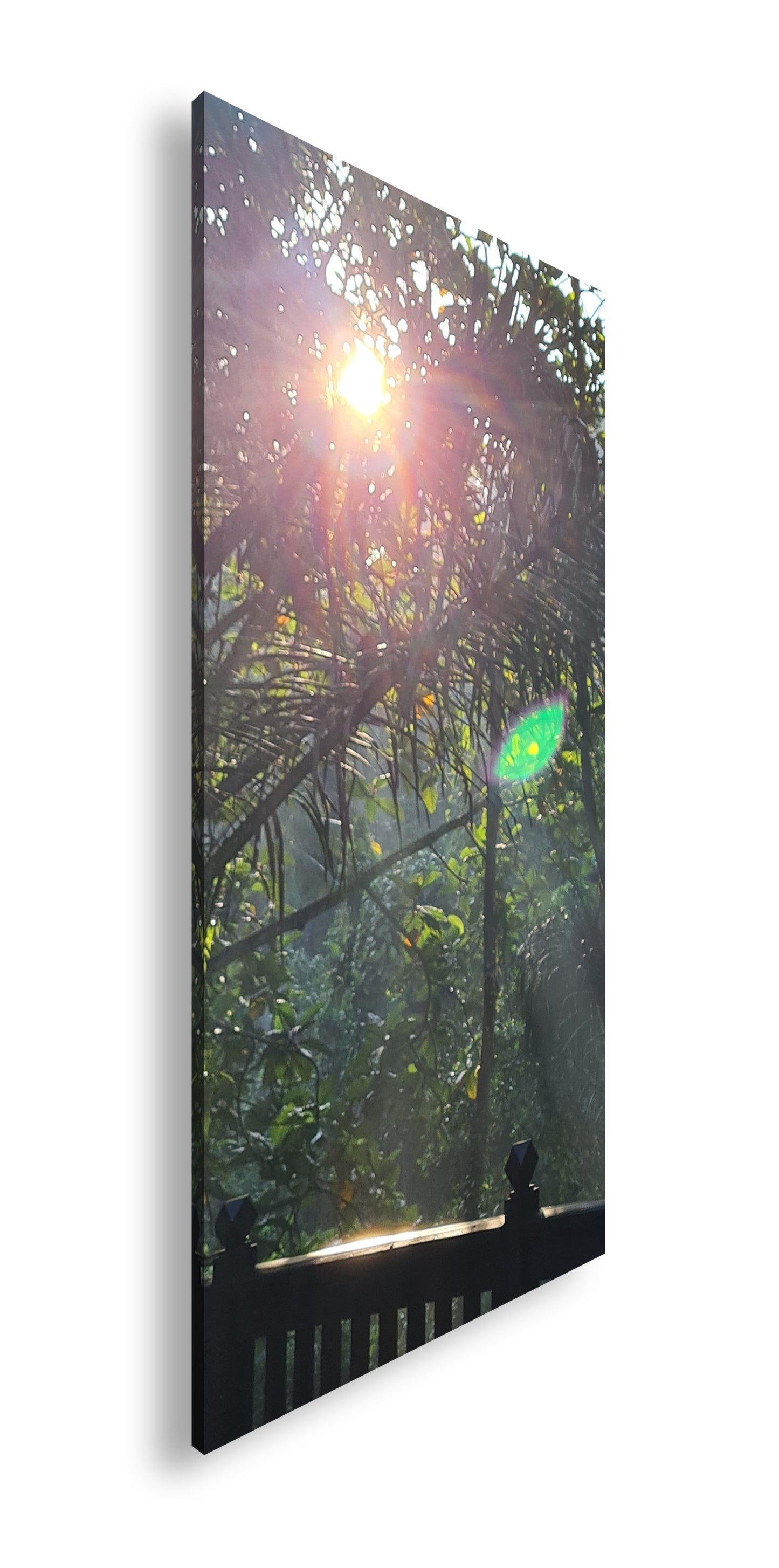 Hauptbild Farbig Panorama