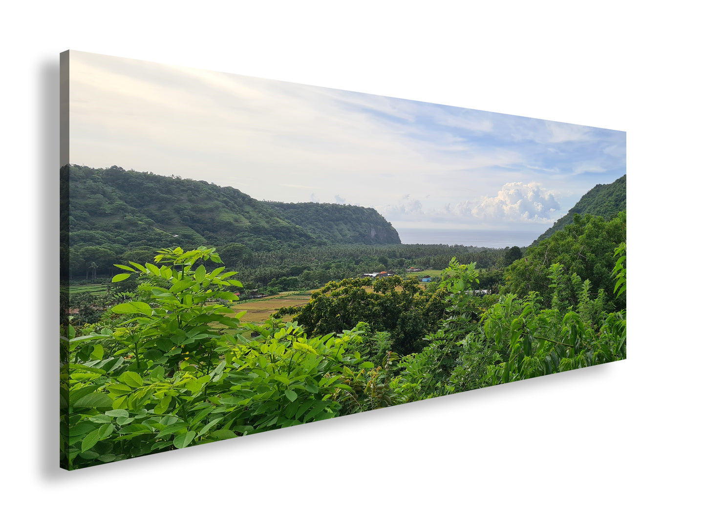 Hauptbild Farbig Panorama