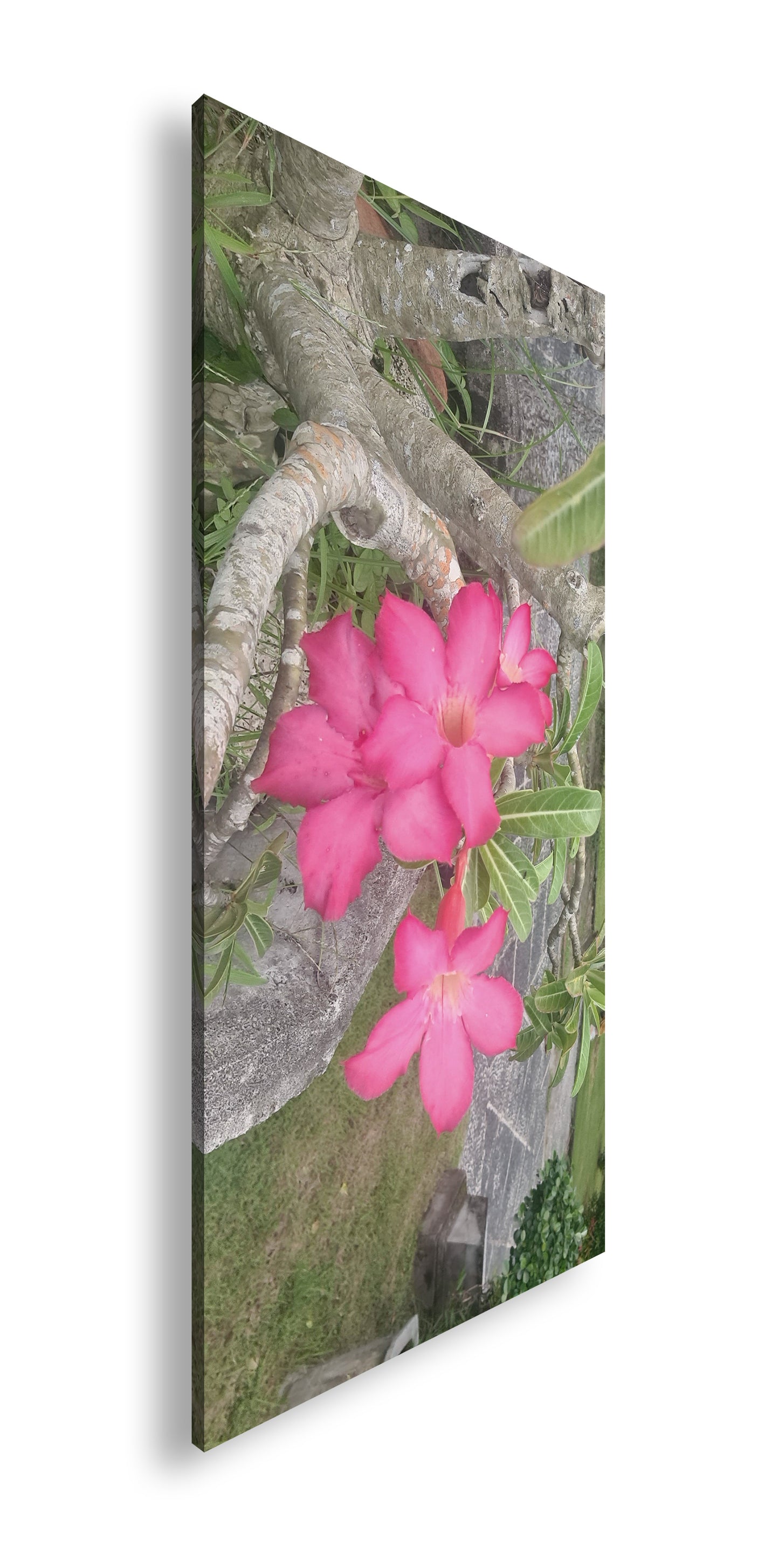 Hauptbild Farbig Panorama