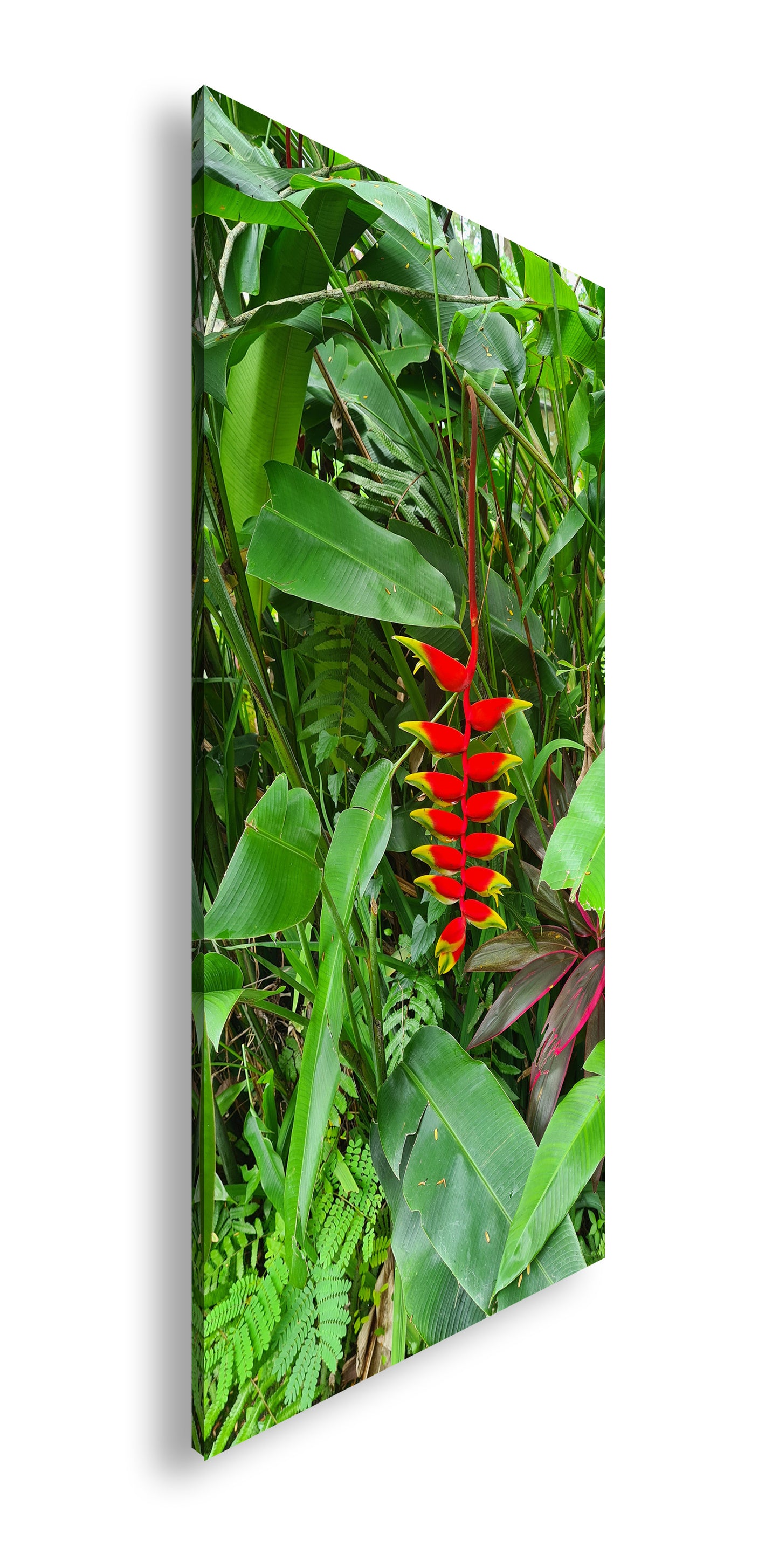 Hauptbild Farbig Panorama