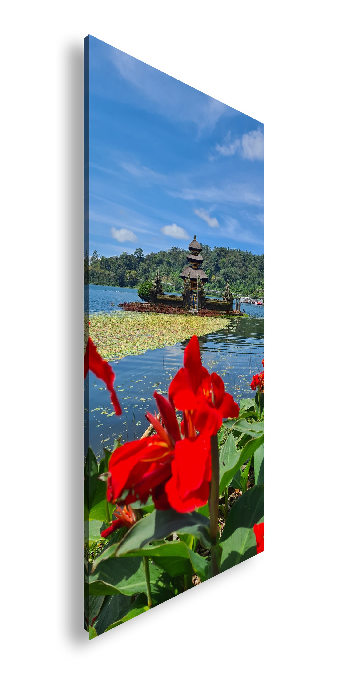 Hauptbild Farbig Panorama