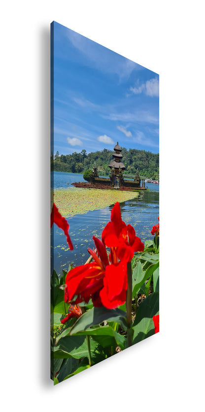 Hauptbild Farbig Panorama