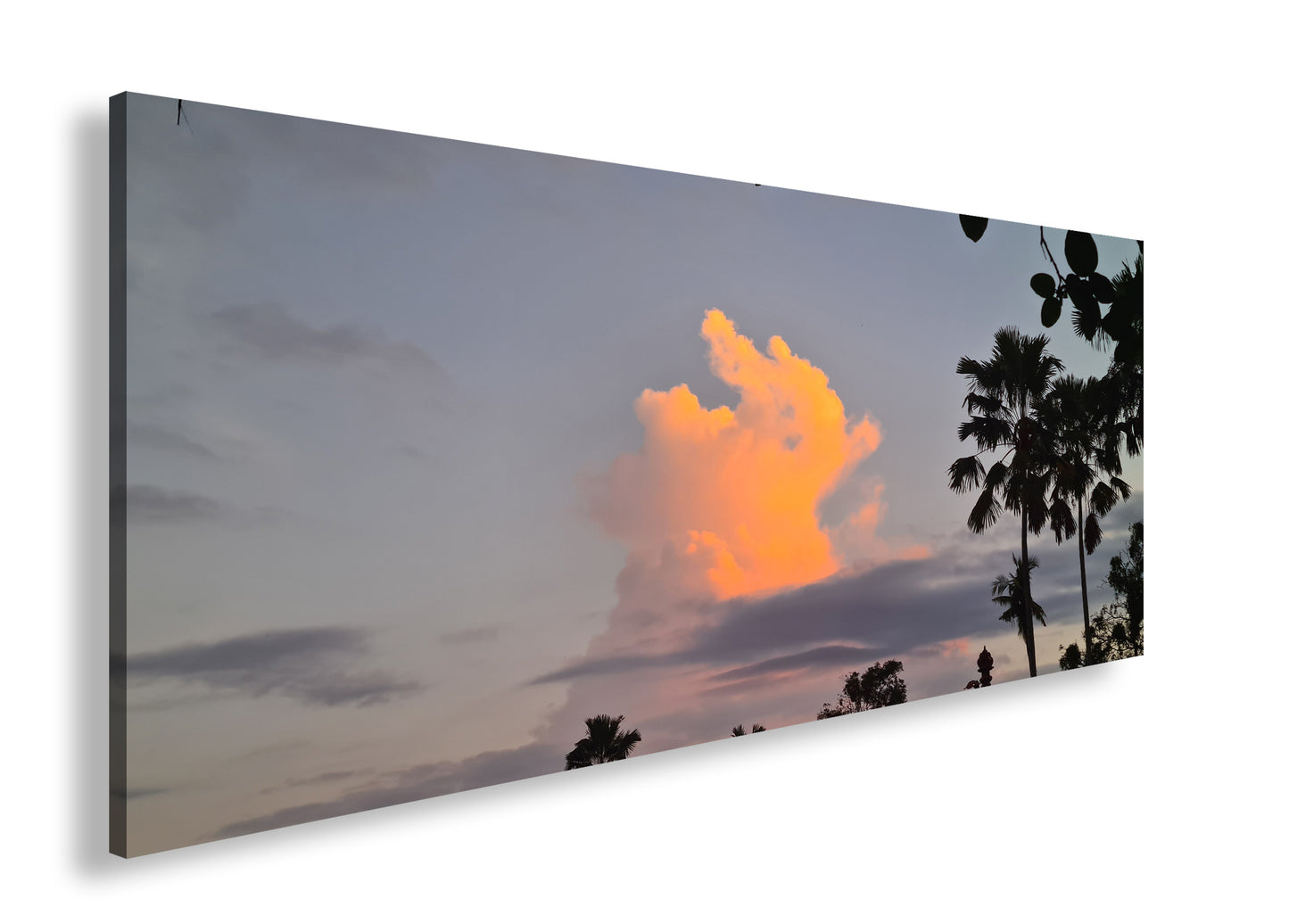 Hauptbild Farbig Panorama