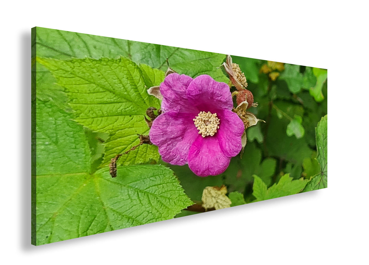 Hauptbild Farbig Panorama