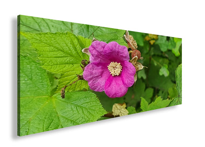 Hauptbild Farbig Panorama