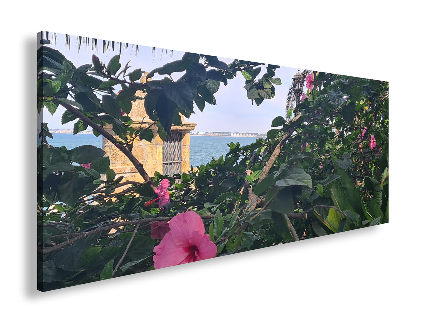 Hauptbild Farbig Panorama