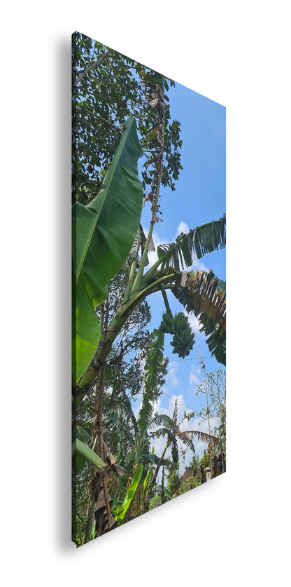 Hauptbild Farbig Panorama