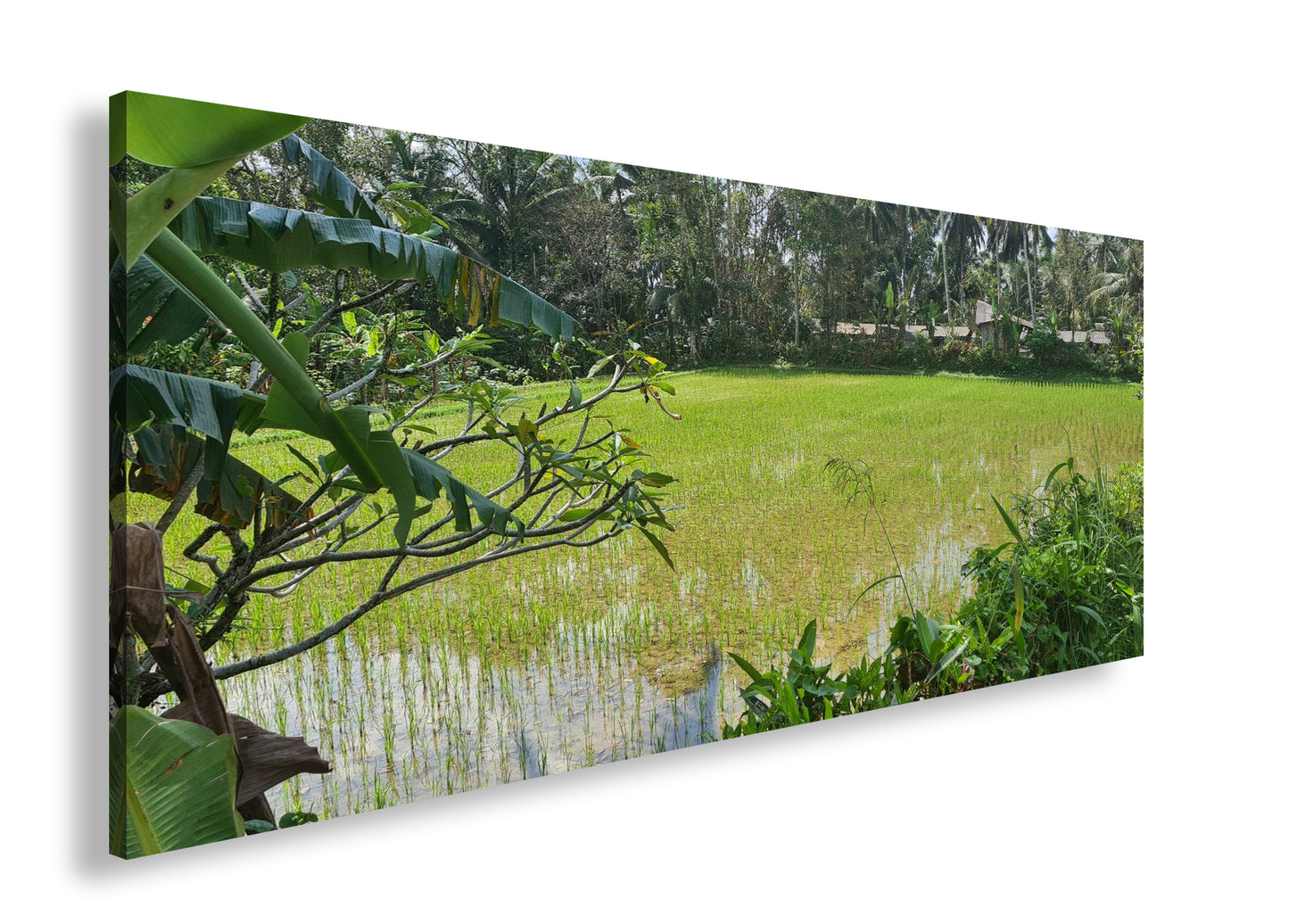 Hauptbild Farbig Panorama