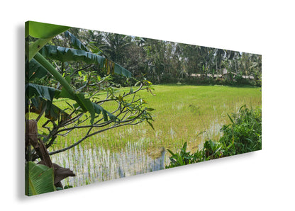 Hauptbild Farbig Panorama